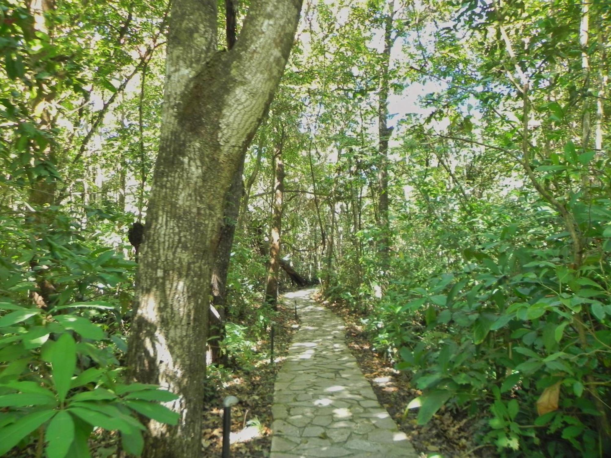 Pousada Eden - Conforto, Imersao E Natureza São Jorge エクステリア 写真
