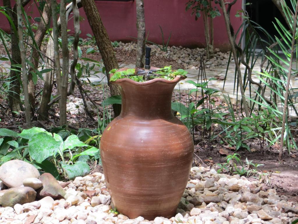Pousada Eden - Conforto, Imersao E Natureza São Jorge エクステリア 写真